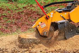 Best Firewood Processing and Delivery  in Wilmerding, PA